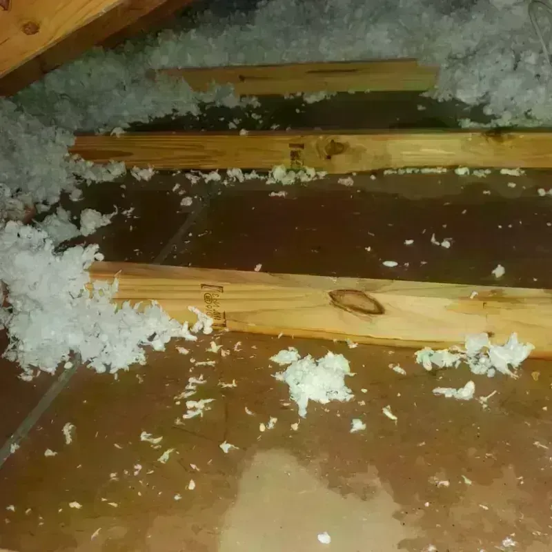 Attic Water Damage in Ashley, ND