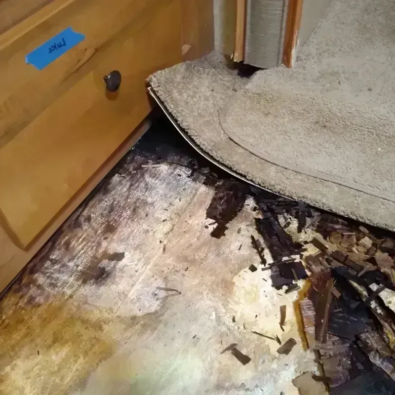 Wood Floor Water Damage in Ashley, ND